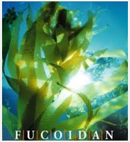 Fucoidan-rich seaweed.  Limu!